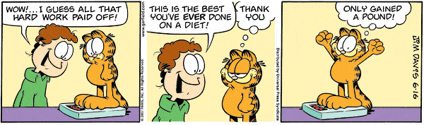 Image result for diets are hard comic